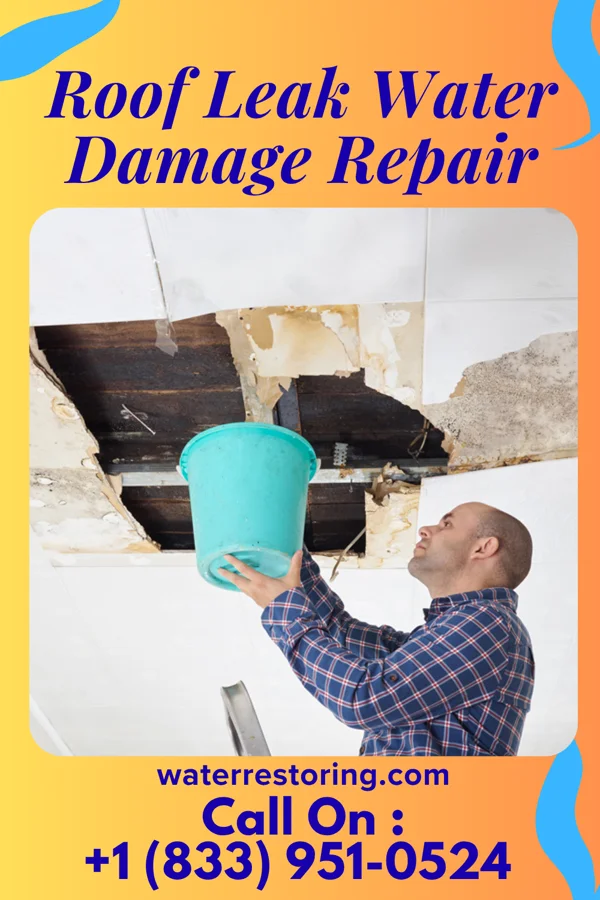 Roof Leak Water Damage Repair in Raintree Plantation, MO